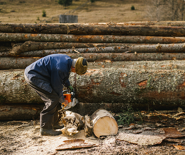 Huzhou Baosheng Nuevo Material Co., Ltd.